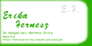 erika hernesz business card